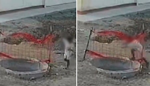 Rescatan a menor tras caer 4 metros en una obra en construcción en Tumbes