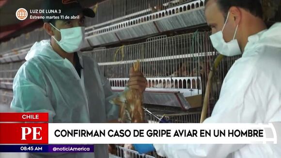 Confirman caso de gripe aviar en un hombre