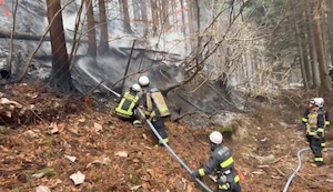 Japón lucha contra el peor incendio forestal en 50 años: ¿Qué está en juego?