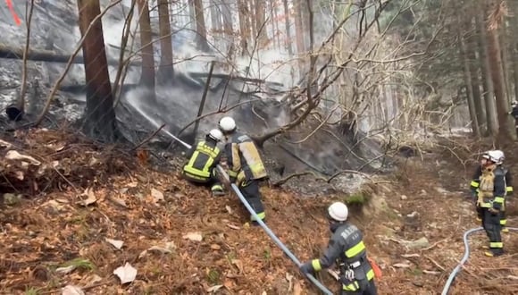 Japón enfrenta su peor incendio forestal en medio siglo