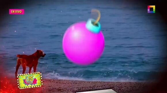 TROME - Director de Vaguito