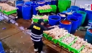 Balacera en camal de Huacho: sicario mata a dos trabajadores y deja grave a la dueña