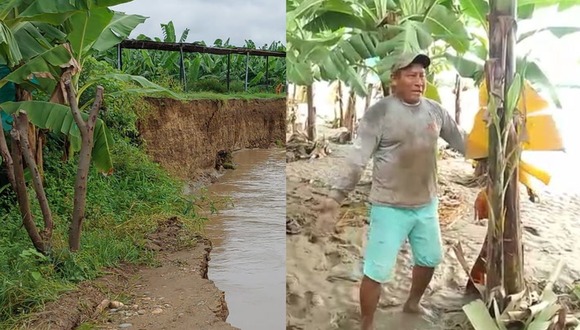 Piura: Padre de familia rompe en llanto y le pide a Dios que ya no los castigue con más lluvias al ver que todo su cultivo de plátano se perdió por el desborde del río Chira.
