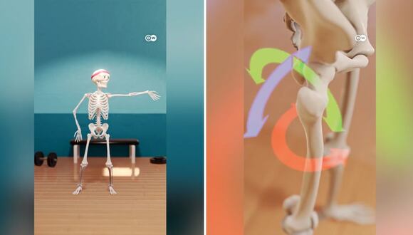 Articulaciones y movimiento