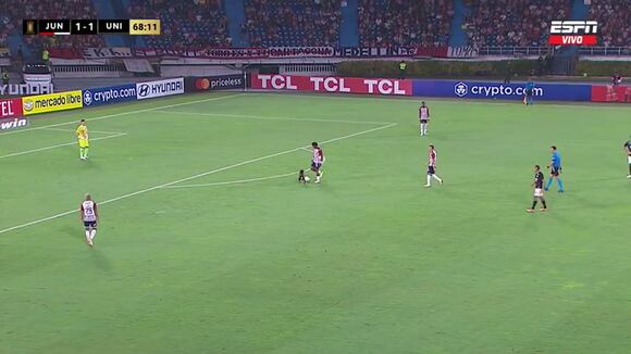 Perro se mete a cancha del Universitario vs Junior. VIDEO: ESPN