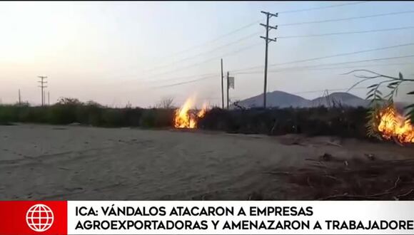 TROME | Atacan empresas agroindustriales en Ica. (América TV)