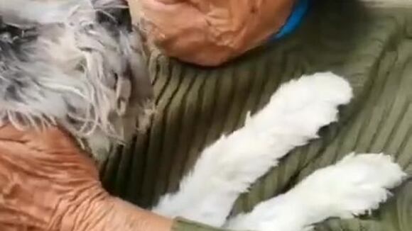 TROME - ¡Momento conmovedor! Abuelita de 103 años encontró a su perrito ‘Raylu’: revive el emotivo reencuentro