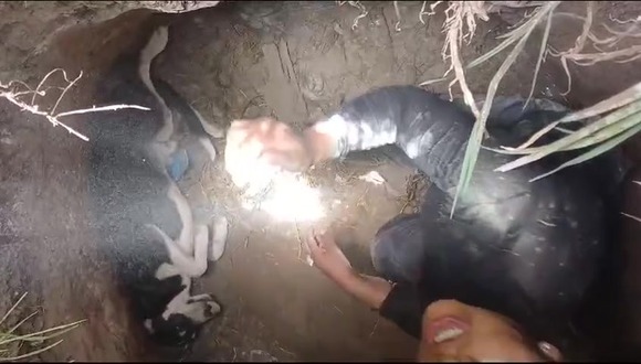 Puno: Serenos rescatan perrito que cayó a pozo.