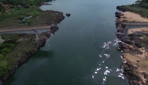 Accidente fatal en Brasil: puente se derrumba dejando un muerto y 16 desaparecidos