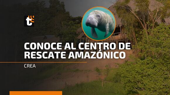 Trome | ¿Cuál es la labor del Centro de Rescate Amazónico - CREA?