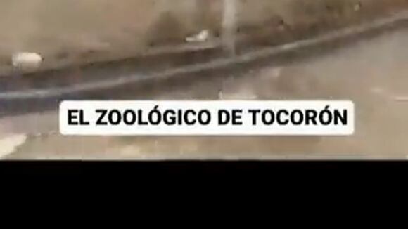 Ssstwitter.com 1695259013152