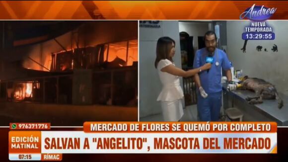 TROME | Perrito necesita ayuda