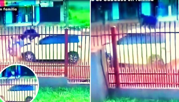 Accidentados salvan de morir en Paraguay y Brasil