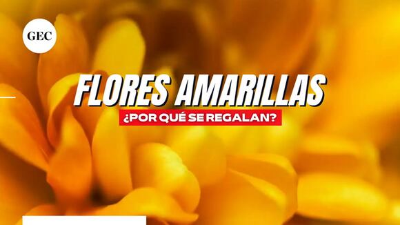 México: ¿por qué se regalan flores amarillas los 21 de marzo?
