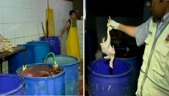 Los Olivos: intervienen local clandestino que distribuía pollos en mal estado a mercados de Lima Norte