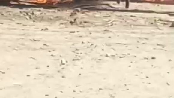 Whatsapp Video 2023-06-30 At 5.31.50 Pm (1)