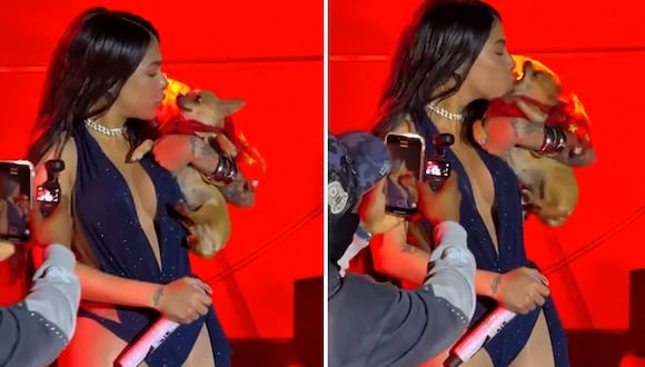 Cantante de reggaetón es mordida por perro en pleno concierto