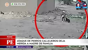 Madre de familia es atacada por perros callejeros: mujer se puso como escudo para salvar a su pequeña