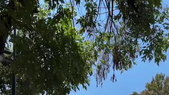 TROME | La casa de los famosos México, globo para Nicola Porcella (Instagram)