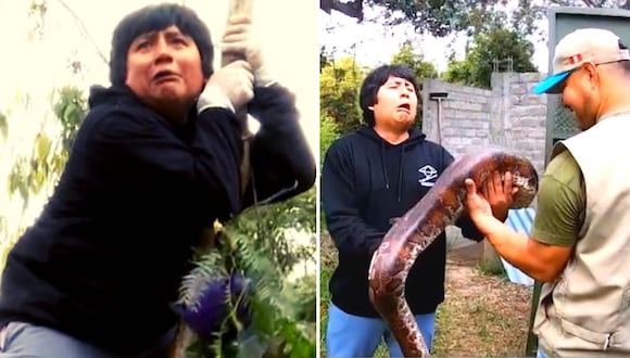 Sibenito llega al zoológico