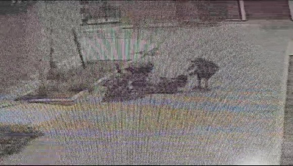 Whatsapp Video 2024-01-05 At 12.43.22 Pm