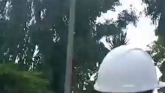 Whatsapp Video 2023-01-21 At 12.32.52 Pm