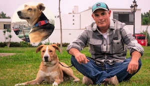 ‘Vaguito”: Inician campaña en redes para ir a ver la película basada en la historia del ‘Hachiko peruano’ | VIDEO