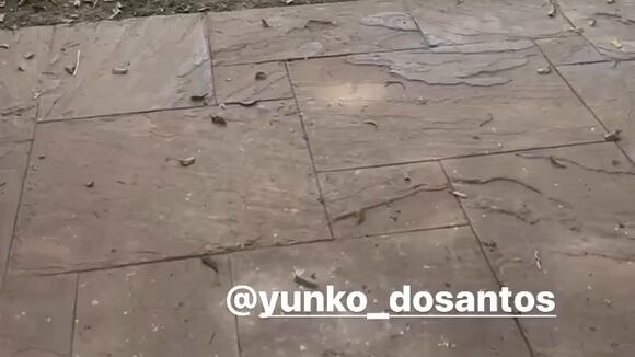 TROME - Melissa Paredes y Rodrigo Cuba se unen para celebrar los seis años de su hija