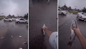 Lluvia de peces en Irán asombra a transeúntes