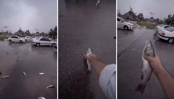 Irán: una "lluvia" de peces cayó del cielo y sorprendió a todos los habitantes