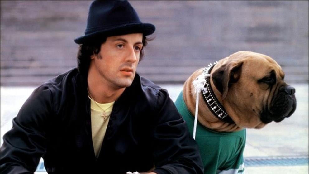 La llegada a la fama de Sylvester Stallone siempre estuvo marcada por una conmovedora historia con su perro. Vía Instagram, la cuenta oficial del actor contó toda la historia.
