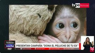 “Dona el peluche de tu ex”: la campaña que ayuda a sobrevivir a monos bebés huérfanos