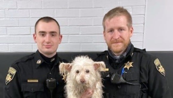Perrito que había caído a un río fue rescatado por dos policías. (Foto: Facebook | Cayuga County Sheriff's Office)
