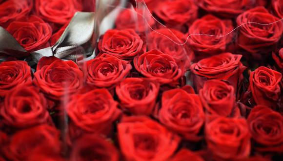 Cuáles son mejores flores regalar novia San Valentín 2023 | nndatl |  RESPUESTAS 