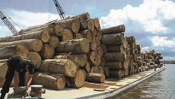 Madre de Dios: Dictan 36 meses de prisión preventiva para catorce funcionarios por tráfico de madera (Foto referencial)