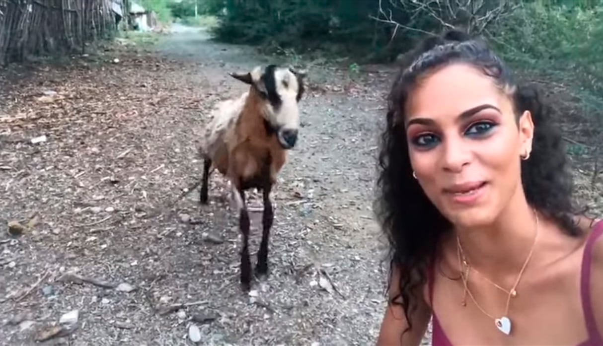 Quiso ganar likes con un selfie junto a una cabra pero terminó protagonizando vergonzosa escena. El video es viral en redes sociales. (YouTube)