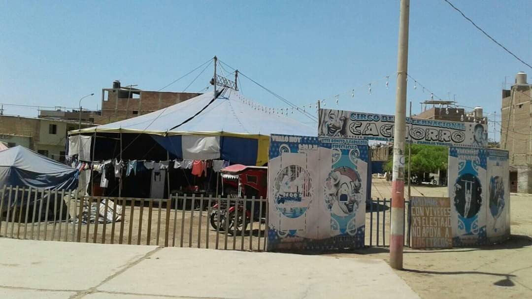 El circo de Gino Vergel instalado en el barrio de Chilapito