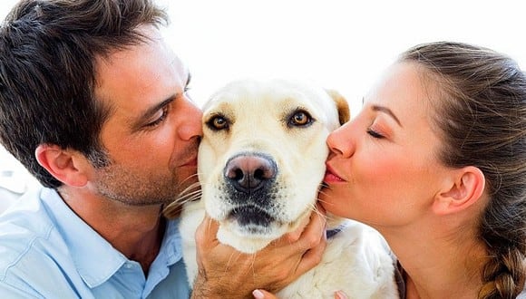 Estudio revela que tu amor por los perros podría ser genético